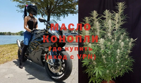молекула духа Новозыбков