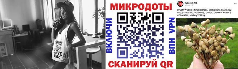 Галлюциногенные грибы Psilocybine cubensis  KRAKEN ССЫЛКА  Переславль-Залесский  купить наркотик 