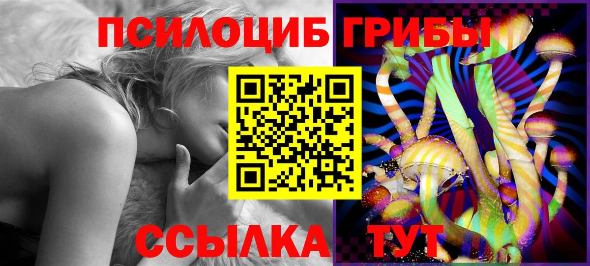 Псилоцибиновые грибы Cubensis Переславль-Залесский
