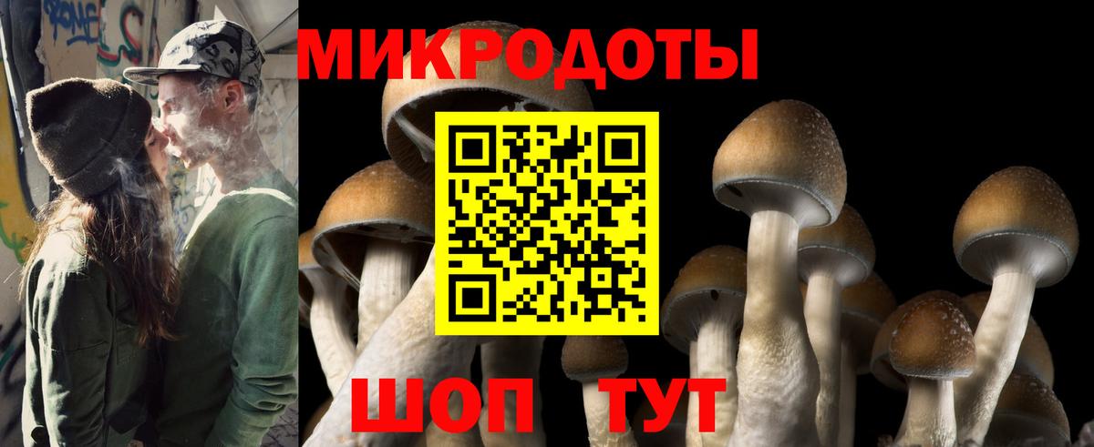 Псилоцибиновые грибы Magic Shrooms  Псилоцибиновые грибы Psilocybine cubensis  Переславль-Залесский  Вход с VPN 